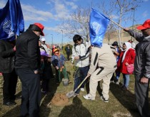 دومین برنامه پیاده روی و درختکاری کارکنان بانک تجارت در بوستان پلیس