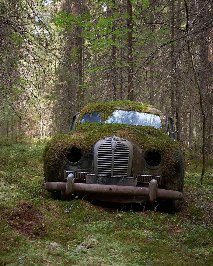 خودرویی که در فنلاند توسط طبیعت بلعیده می‌شود