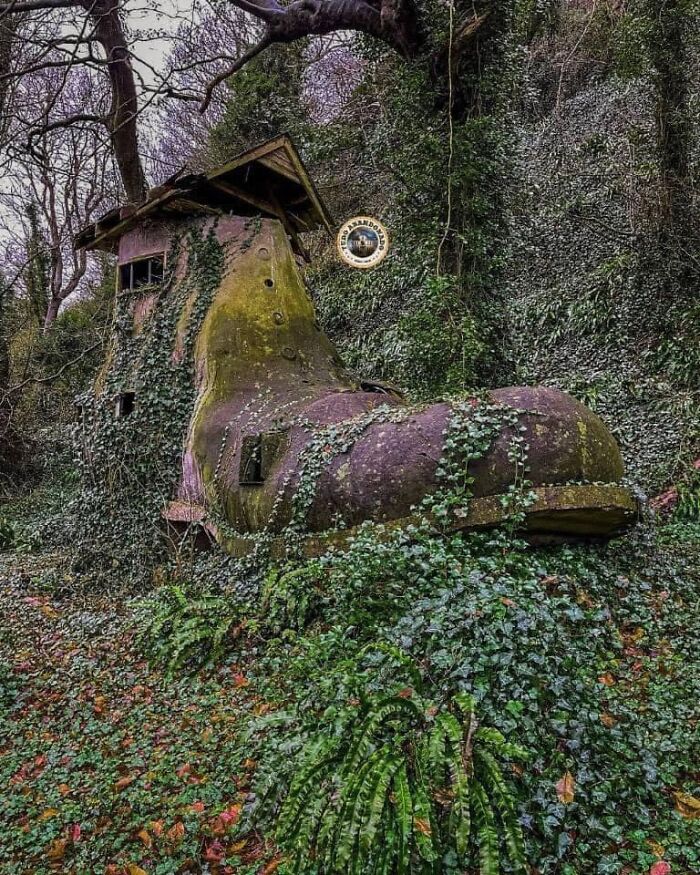 خانه شبیه به کفش رها شده در اعماق جنگل‌های بریتانیا